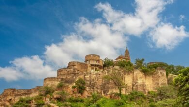 moti oswa elss ggnulv