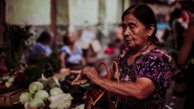 multinational business collaboration model