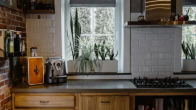 mutf_in culinary exploration zone