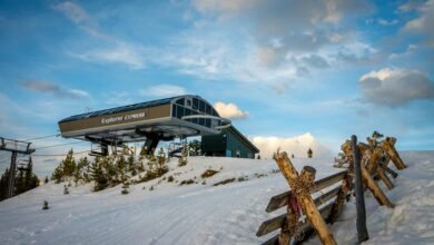 mutf in sbi magnification global jihk3i