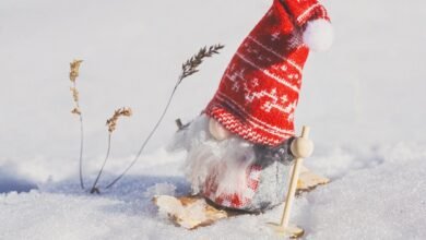 sbi quantum registration process