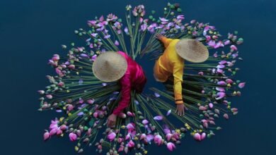 cana robe multi 17zitzj