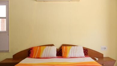 nippon india equity fund