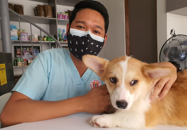 Mobile Vet
