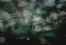 golf contact phone numbers