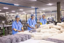 telecom operations contact numbers