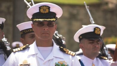 link building domain ranking